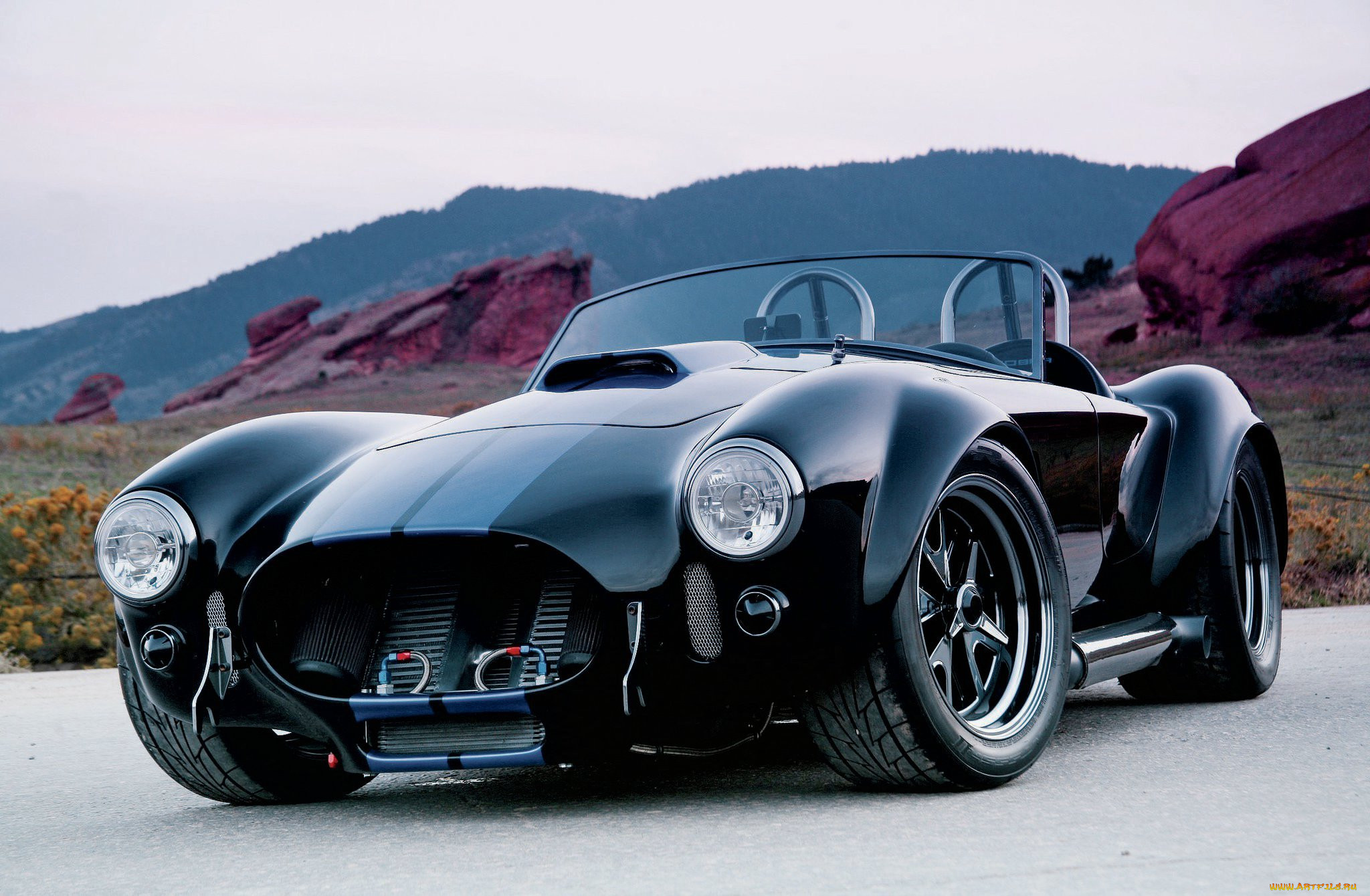 , ac cobra, shelby, cobra